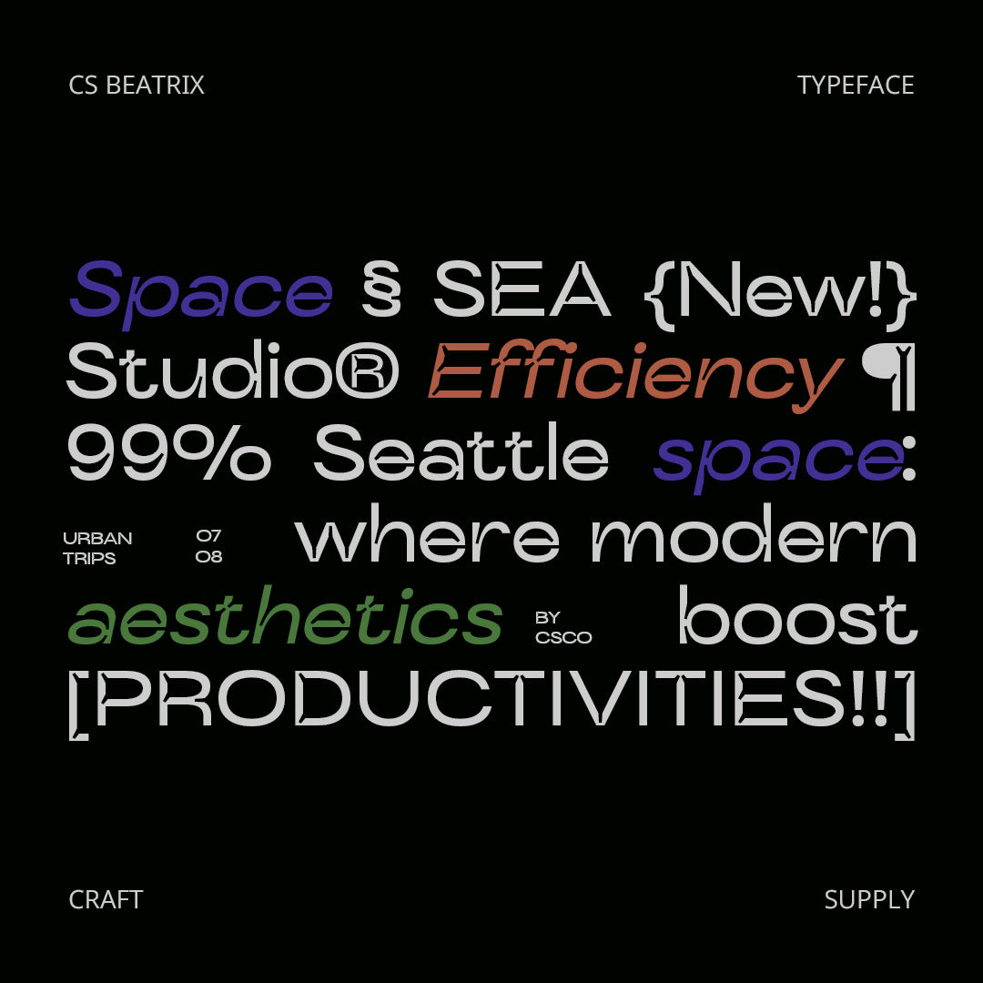 cs-beatrix-inktrap-font-craft-supply-co-5.jpg