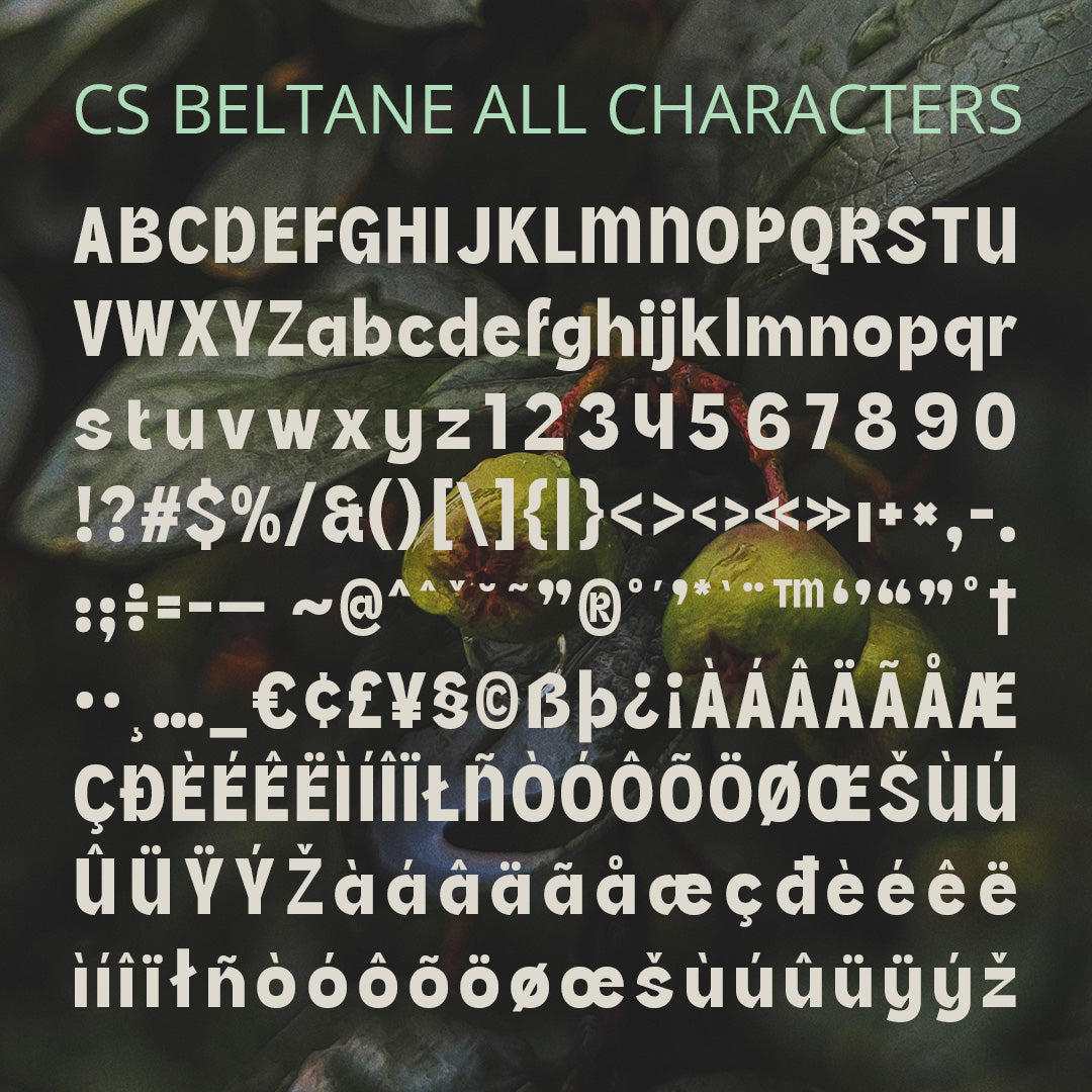 cs-beltane-bold-font-craft-supply-co-8.jpg