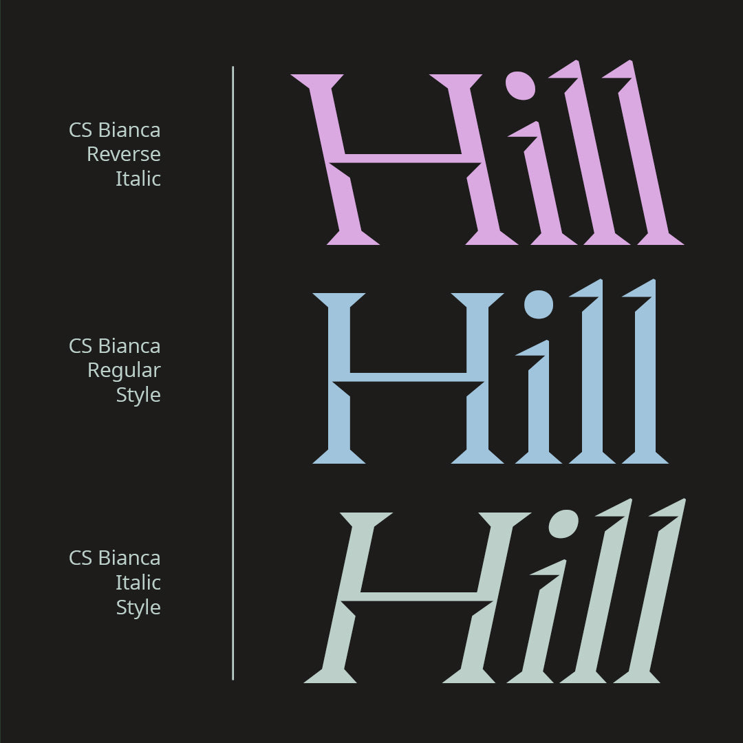 cs-bianca-serif-typeface-craft-supply-co-2.jpg