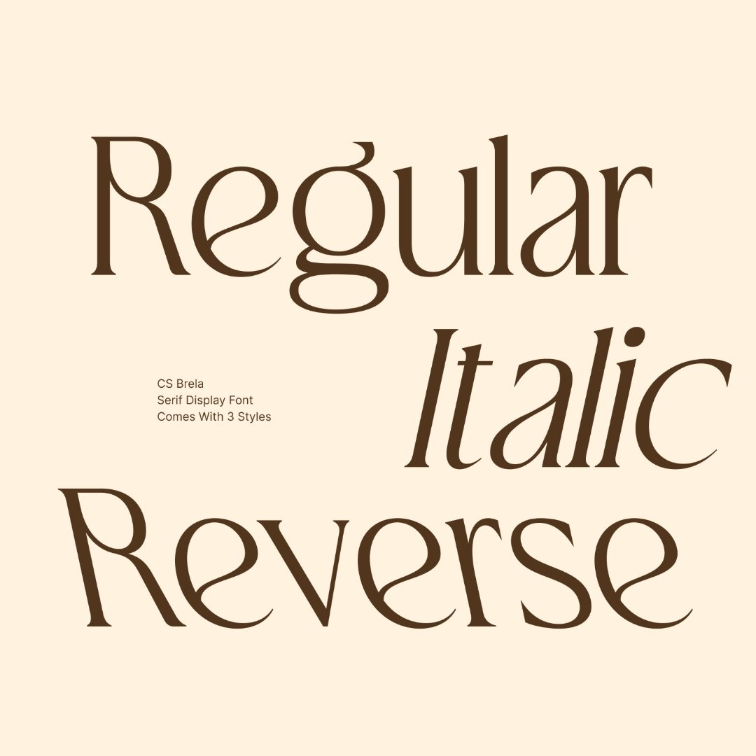 cs-brela-elegant-serif-font-craft-supply-co-3.jpg