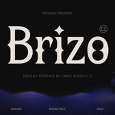 CS Brizo – Spiky Font