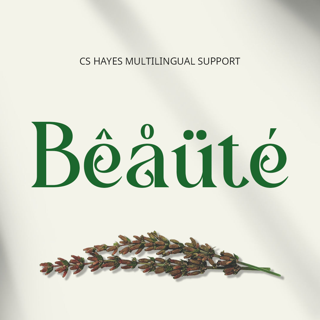 cs-hayes-art-nouveau-font-craft-supply-co-7.jpg
