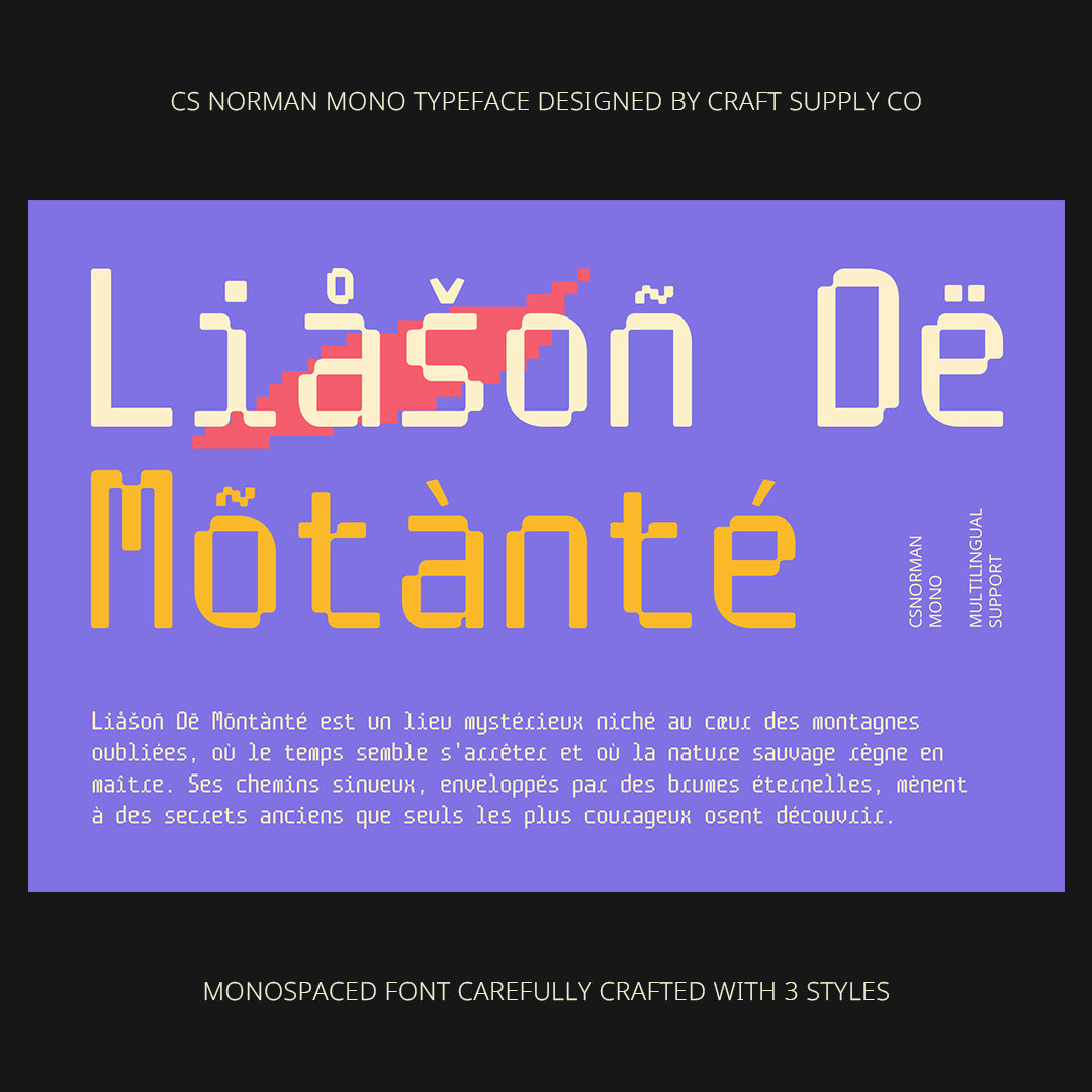 cs-norman-mono-monospaced-font-craft-supply-co-7.jpg