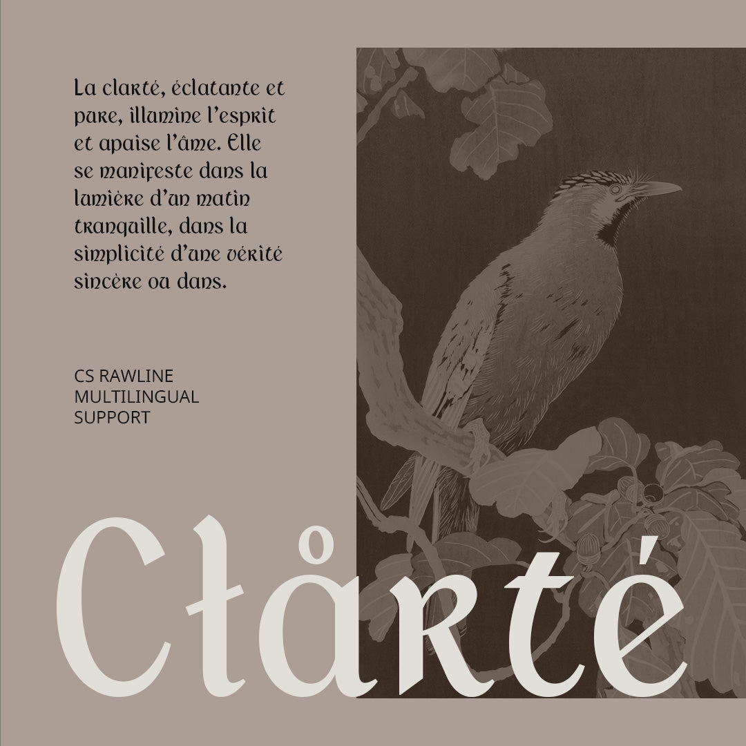 cs-rawline-uncial-font-craft-supply-co-7.jpg
