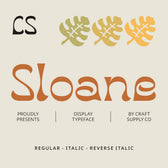 CS Sloane – Reverse Contrast Font