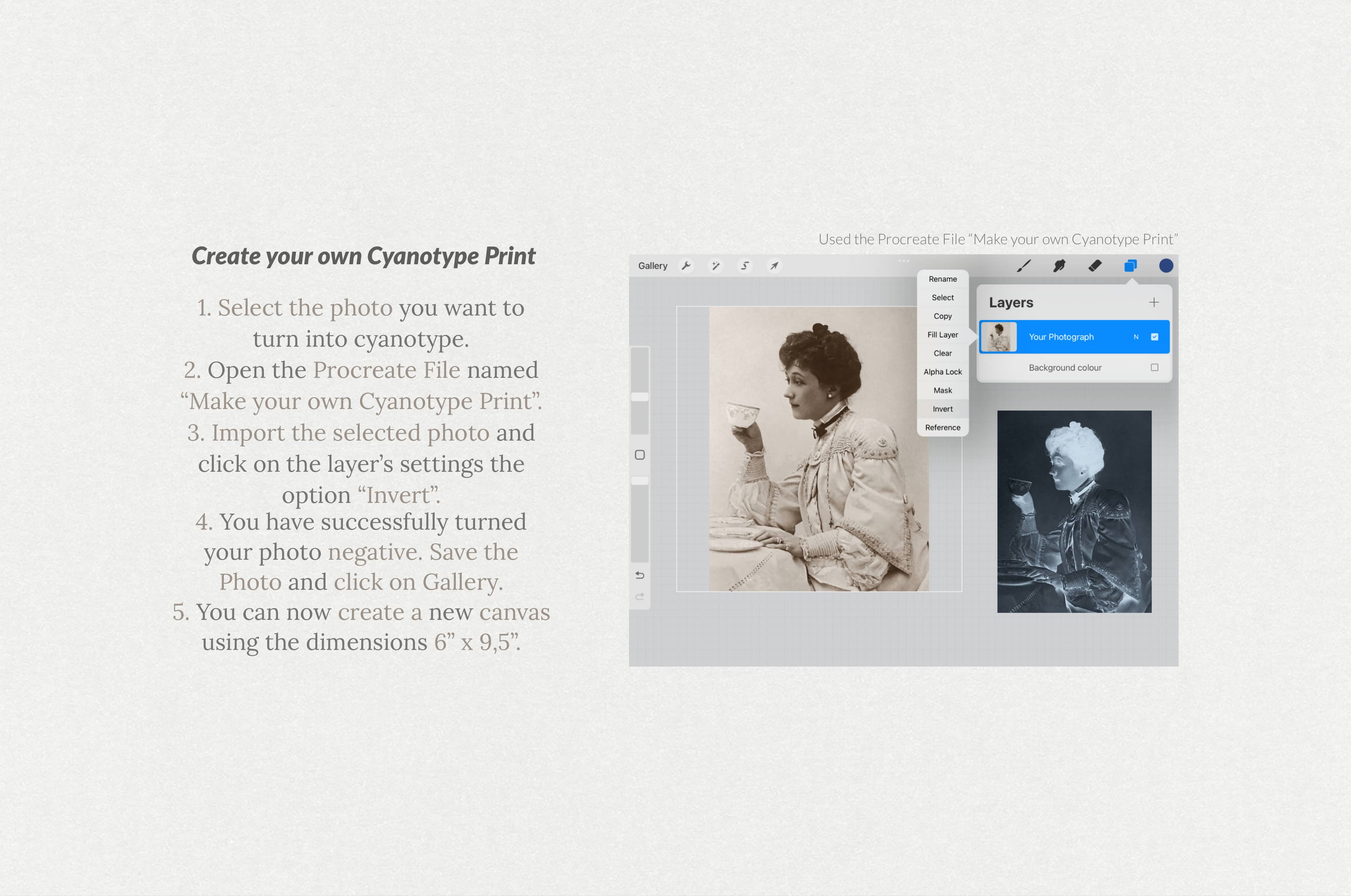 Cyanotype Print (Blueprint) Effect Procreate Brushes