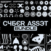 Cyber Asset Bundle