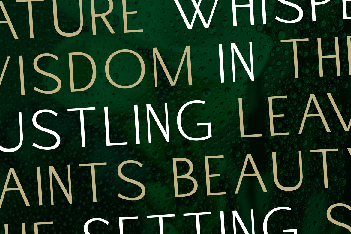 dahaga-modern-stylish-serif-font-unknown-creator-4.jpg