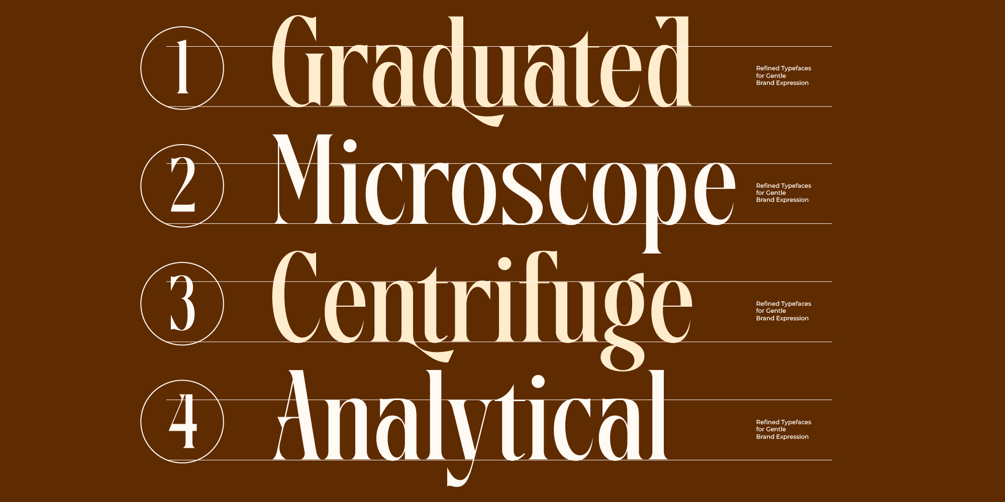 disriete-modern-serif-display-free-amorfatype-studios-4.png