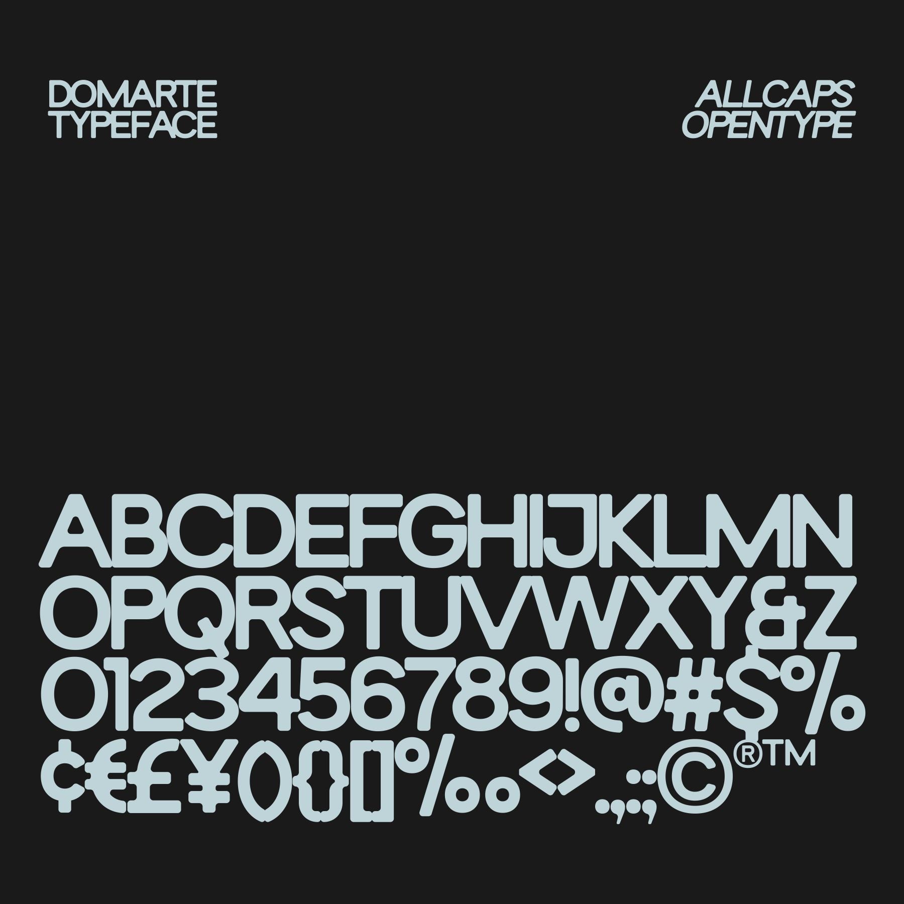 domarte-display-typeface-holisfonts-5.jpg