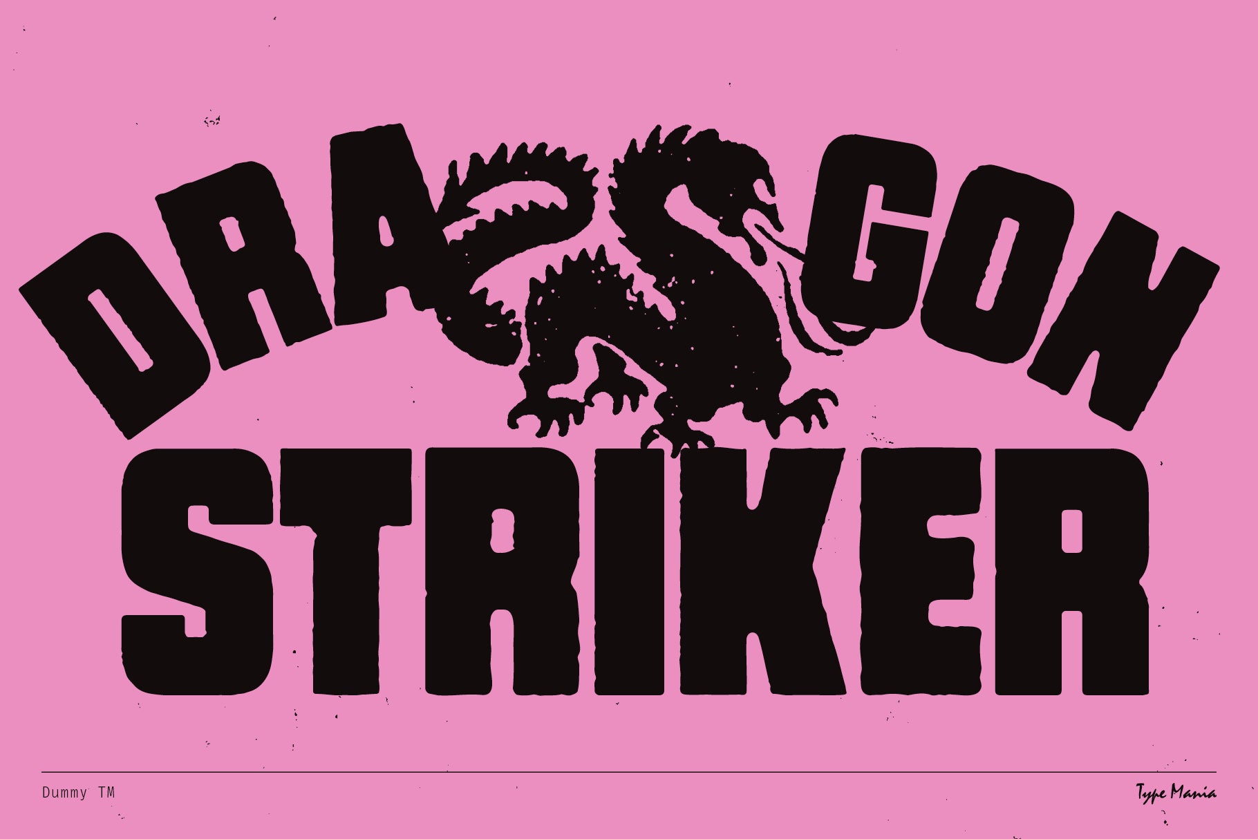 dummy-tm-type-mania-10.jpg