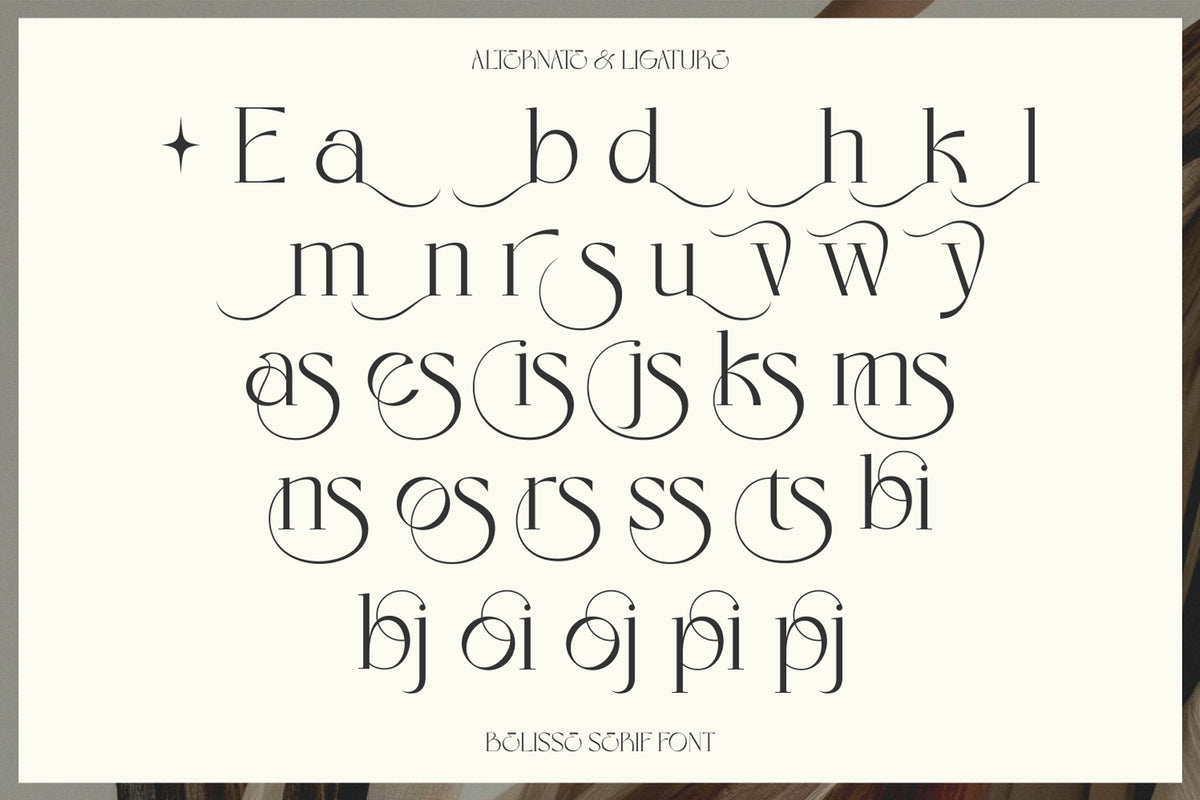 eloires-elegant-stylish-serif-font-unknown-creator-9.jpg