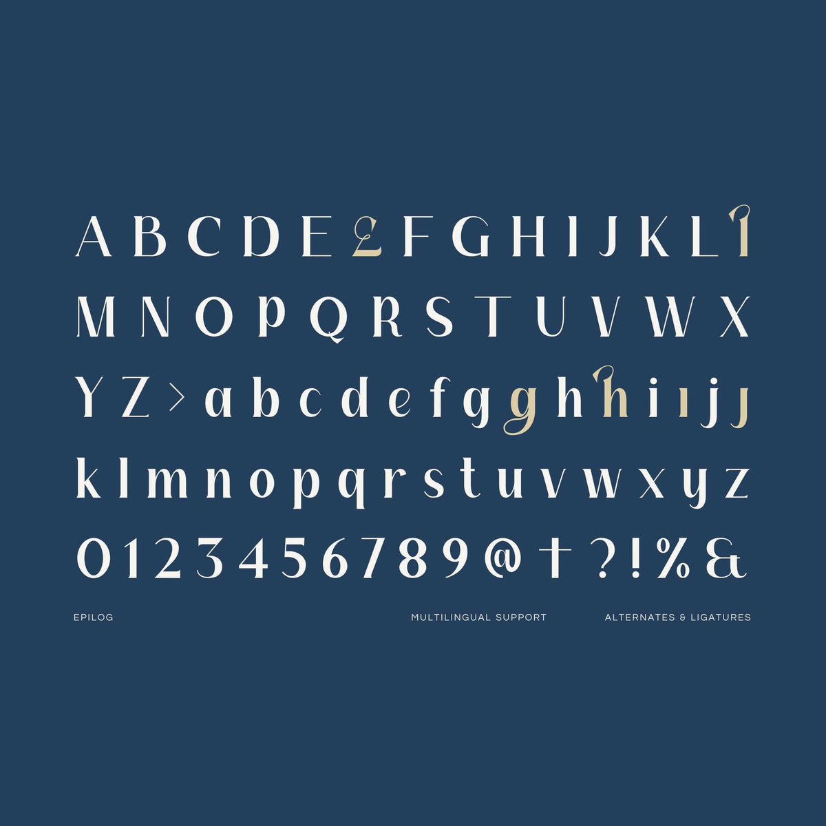 Epilog - Beautiful Serif Typeface by Imoodev, preview 5