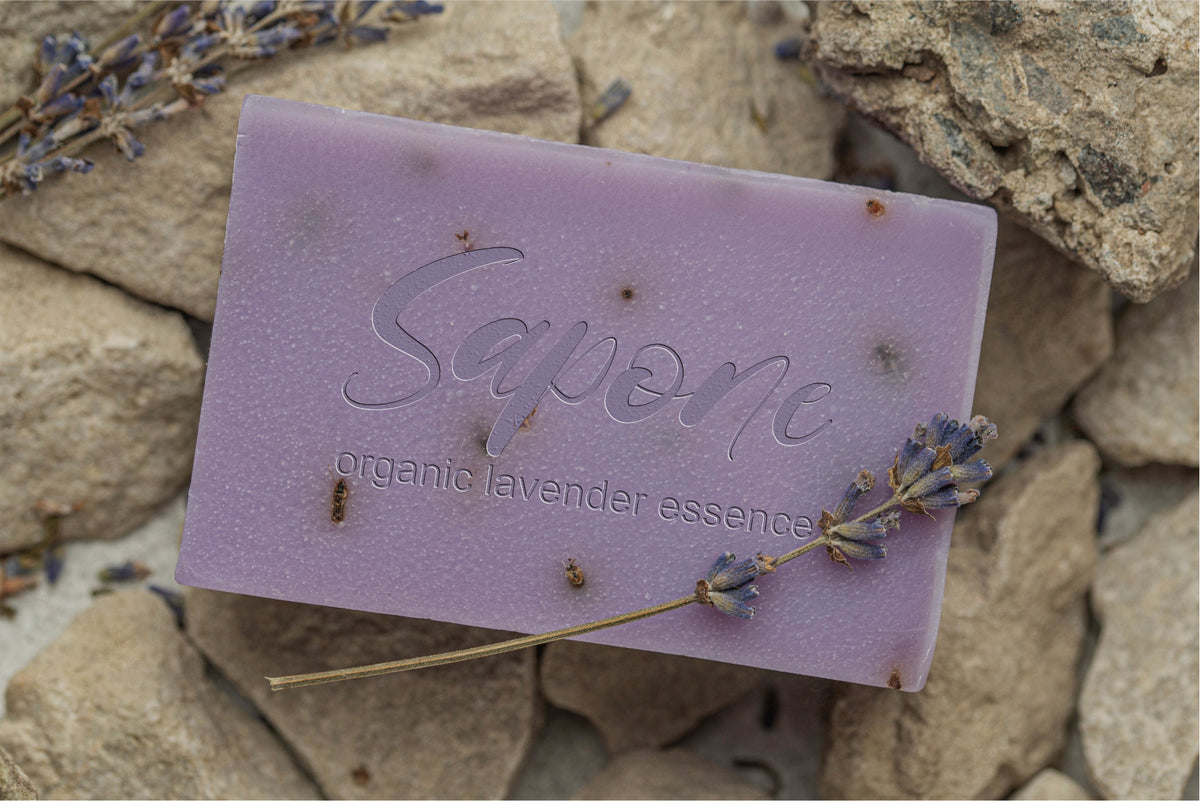 fafrely-auntum-classy-script-font-tyedge-studio-6.jpg