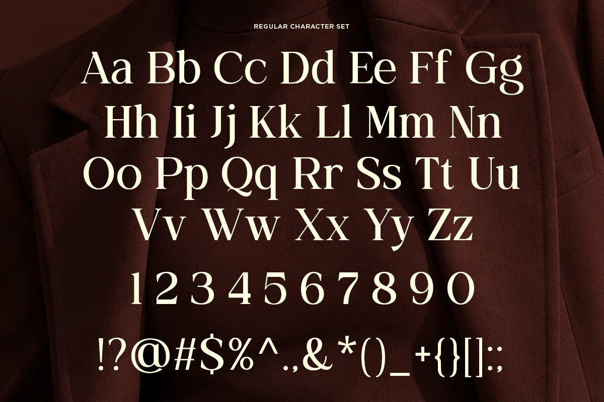 family-elegant-serif-font-actrist-stylish-fontliner-9.png