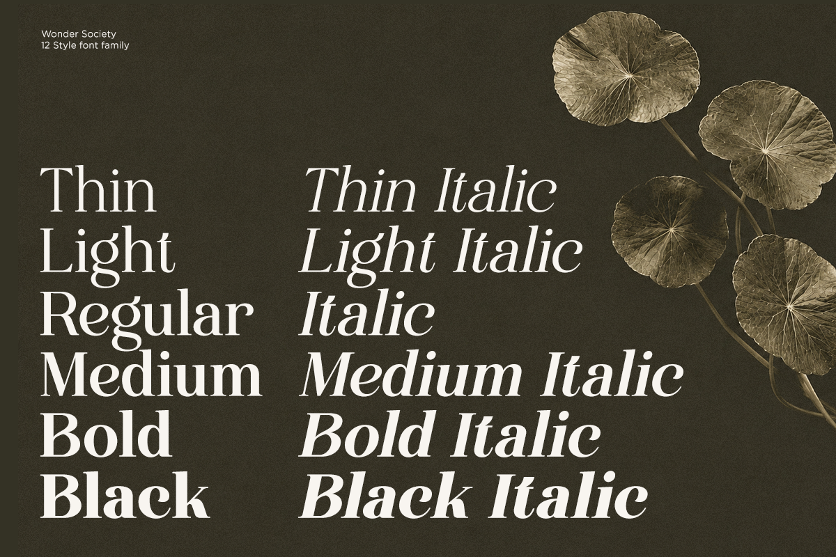 family-modern-serif-font-wonder-society-fontliner-5.png