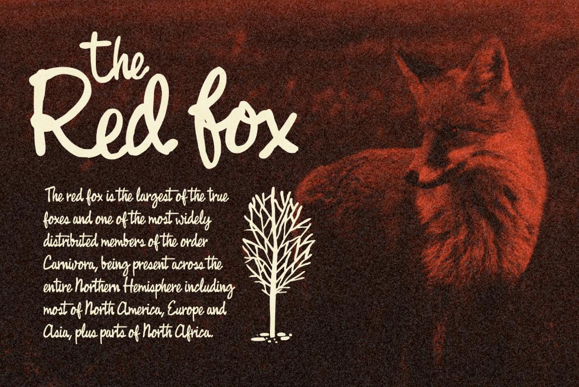 Fast Rewind: Nostalgic Brush Script Font