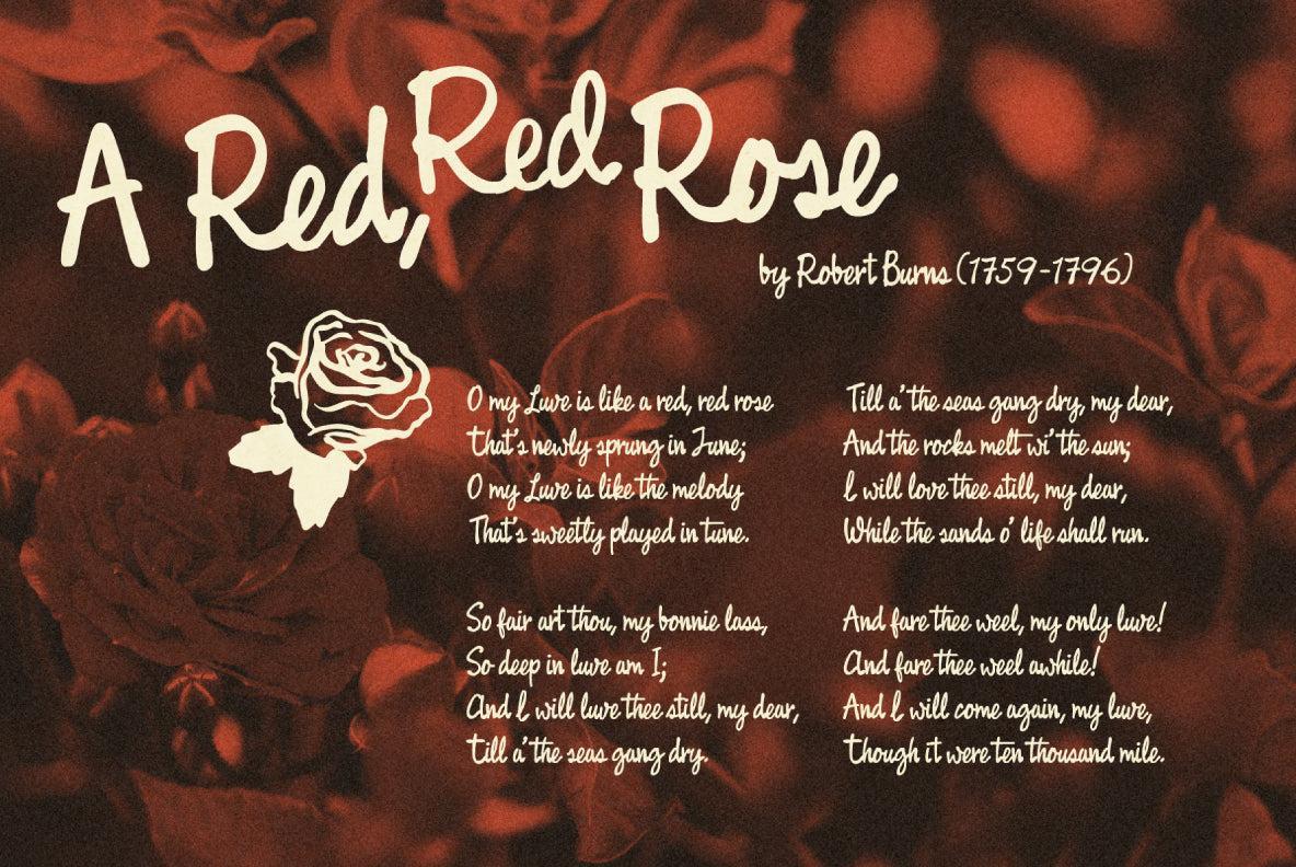 Fast Rewind: Nostalgic Brush Script Font