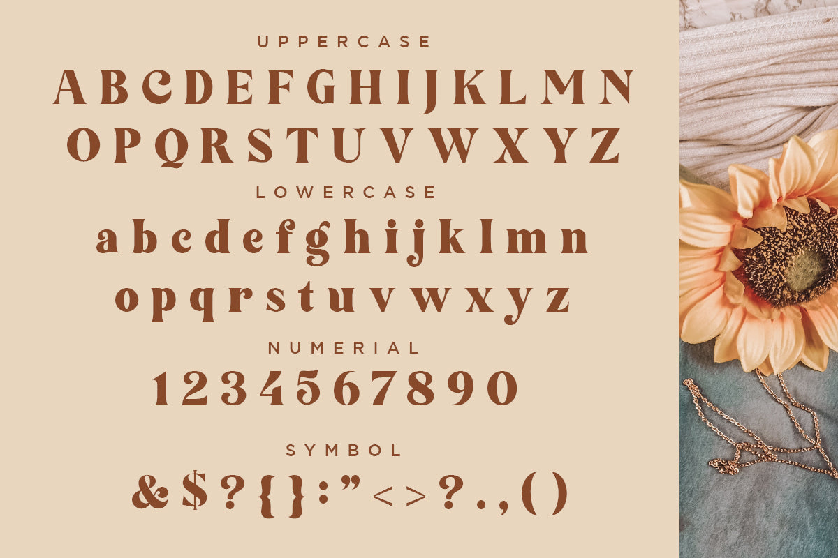 feathers-elegant-decorative-serif-font-say-studio-8.jpg