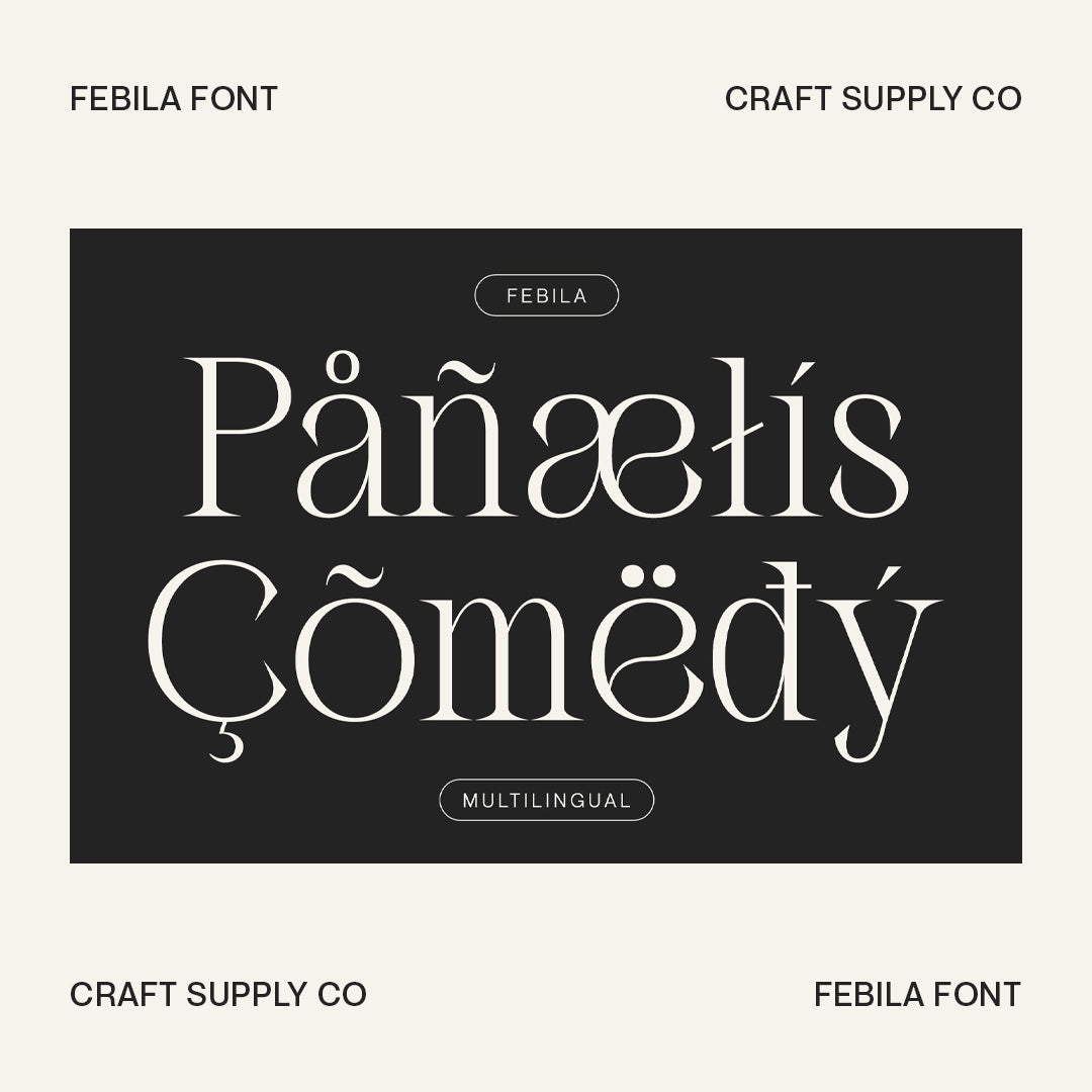 febila-elegant-serif-font-craft-supply-co-7.jpg