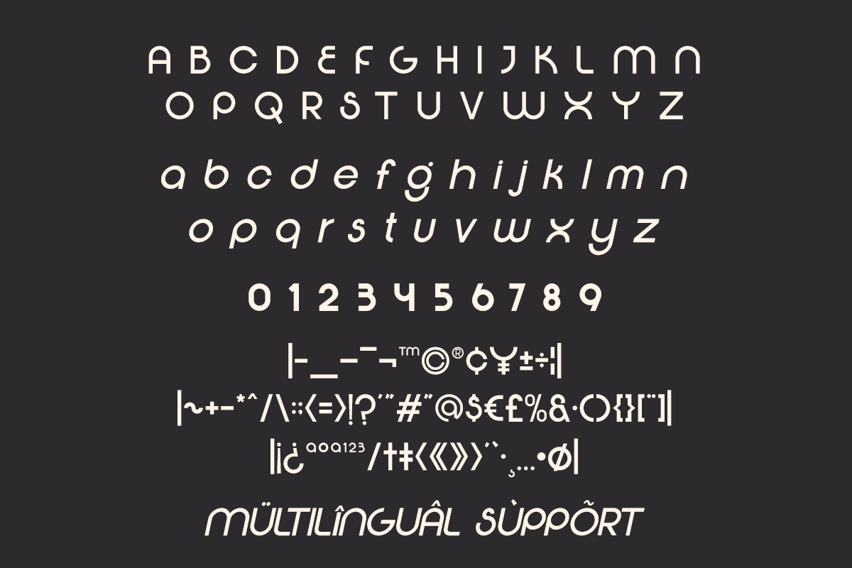 Flexing - Famiy Geometric Sans Serif Font by Say Studio, preview 11