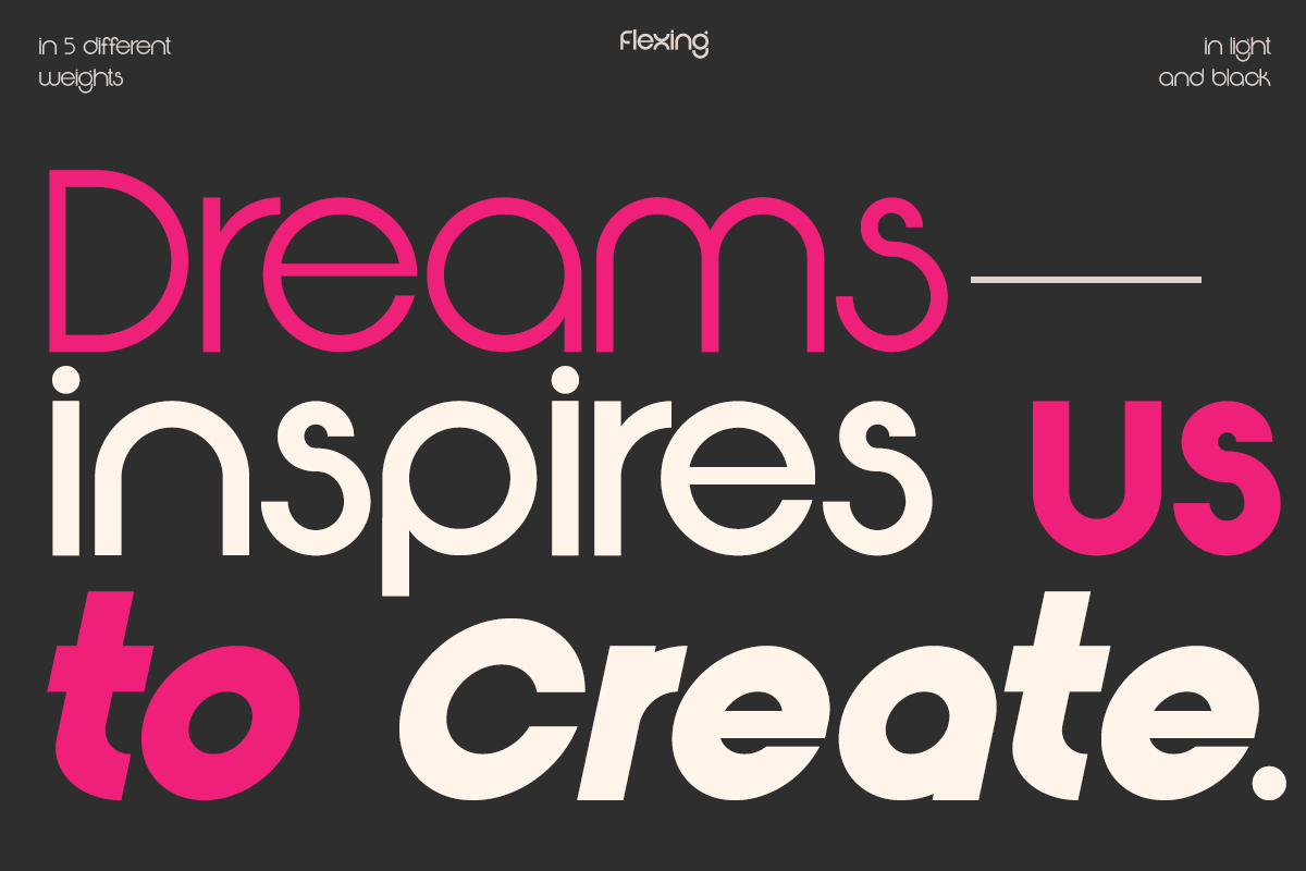 Flexing - Famiy Geometric Sans Serif Font by Say Studio, preview 3