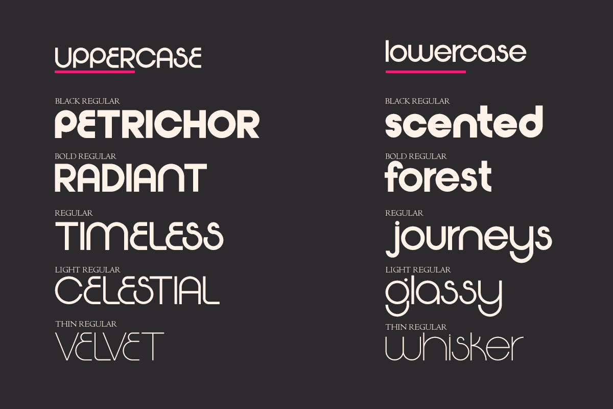 Flexing - Famiy Geometric Sans Serif Font by Say Studio, preview 6