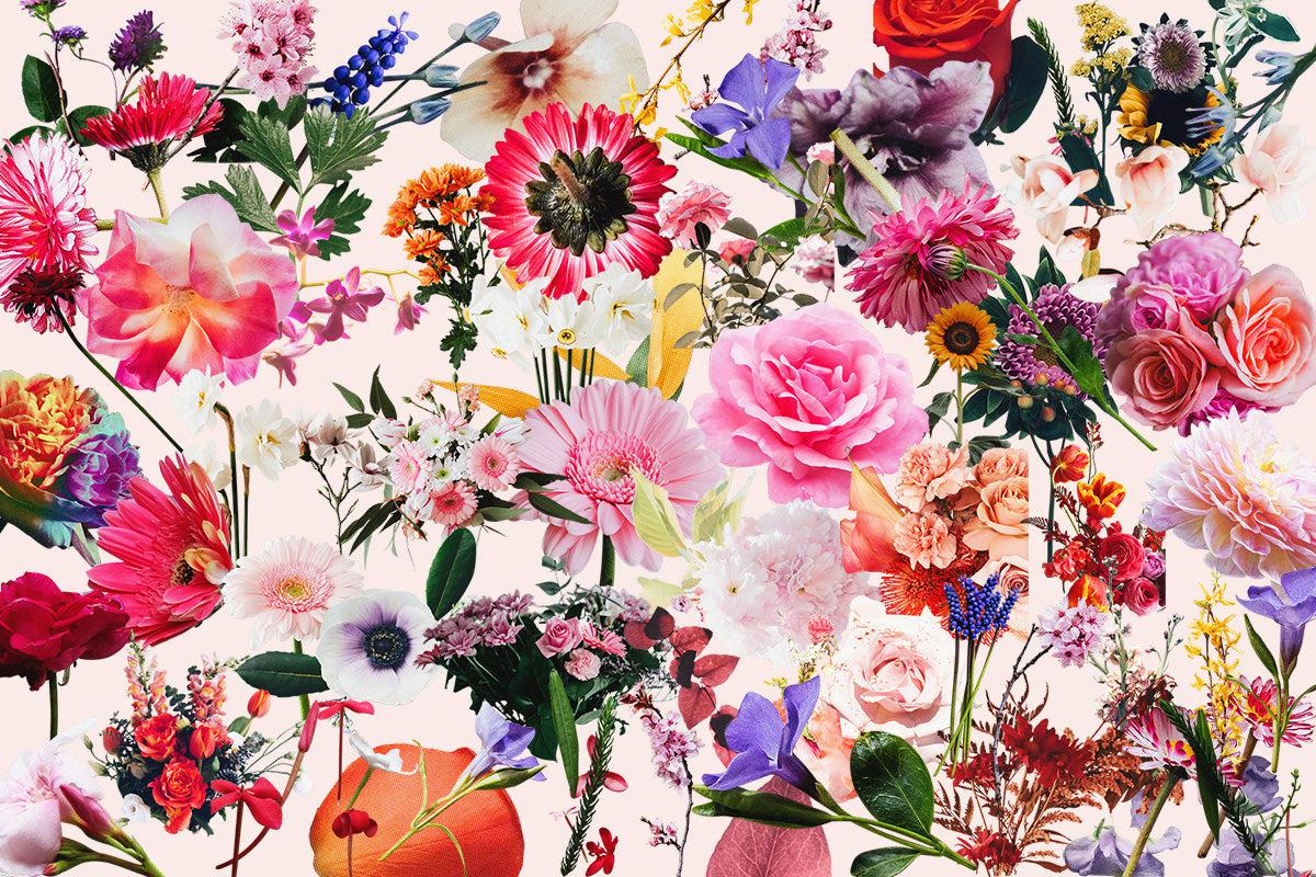 Floral