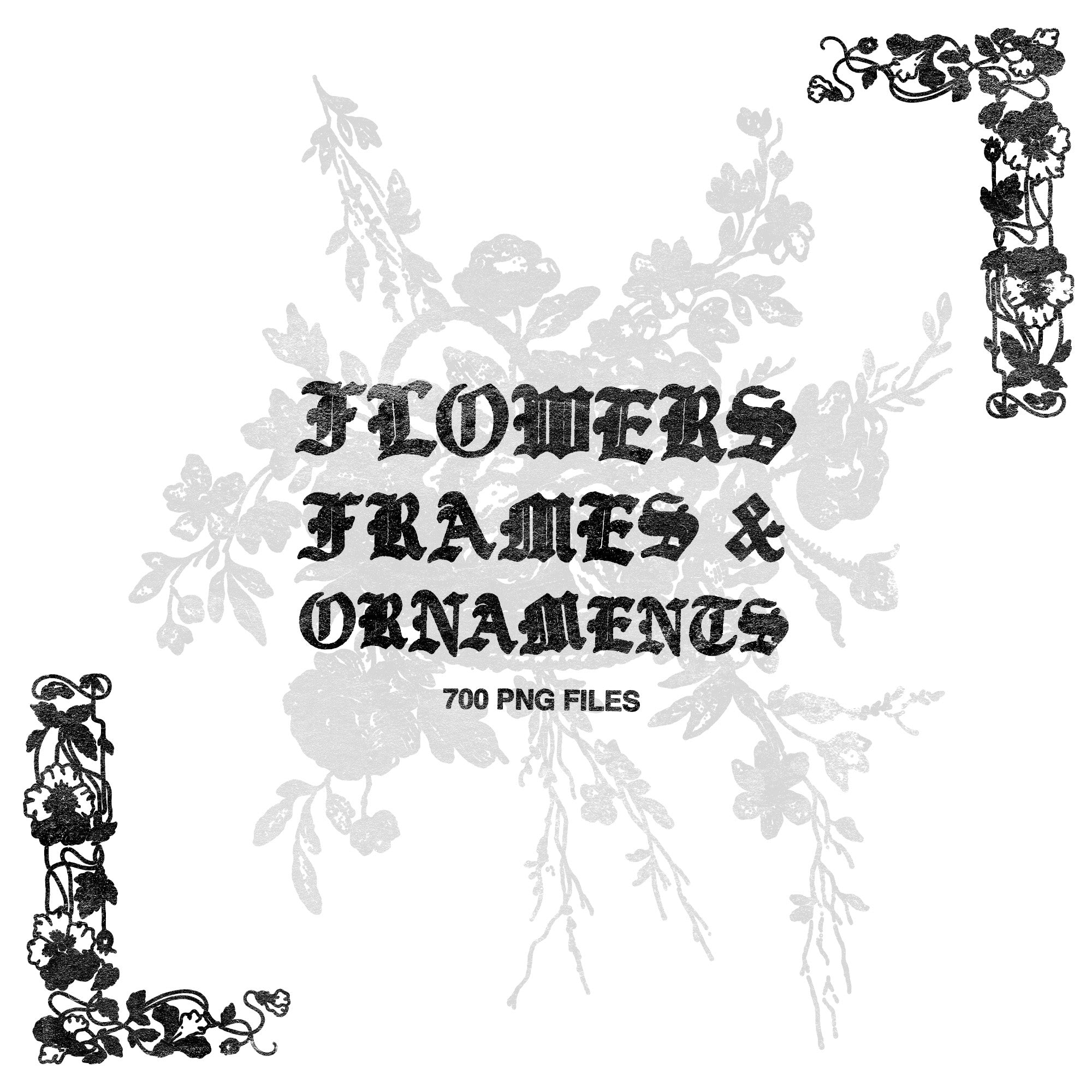 Flowers, Frames & Ornaments