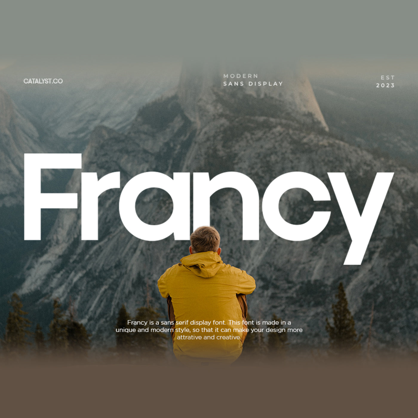 francy-modern-sans-display-font-catalystco-studio-1.jpg