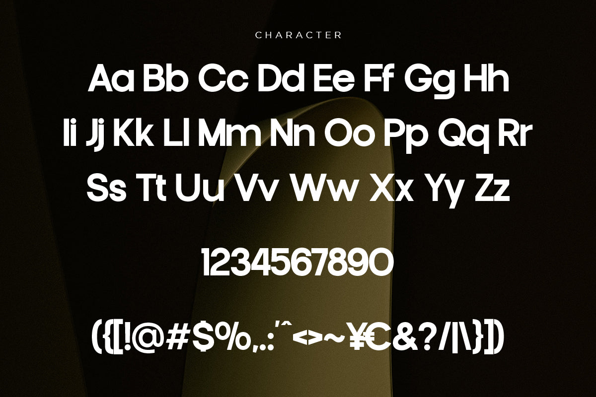 francy-modern-sans-display-font-catalystco-studio-2.jpg
