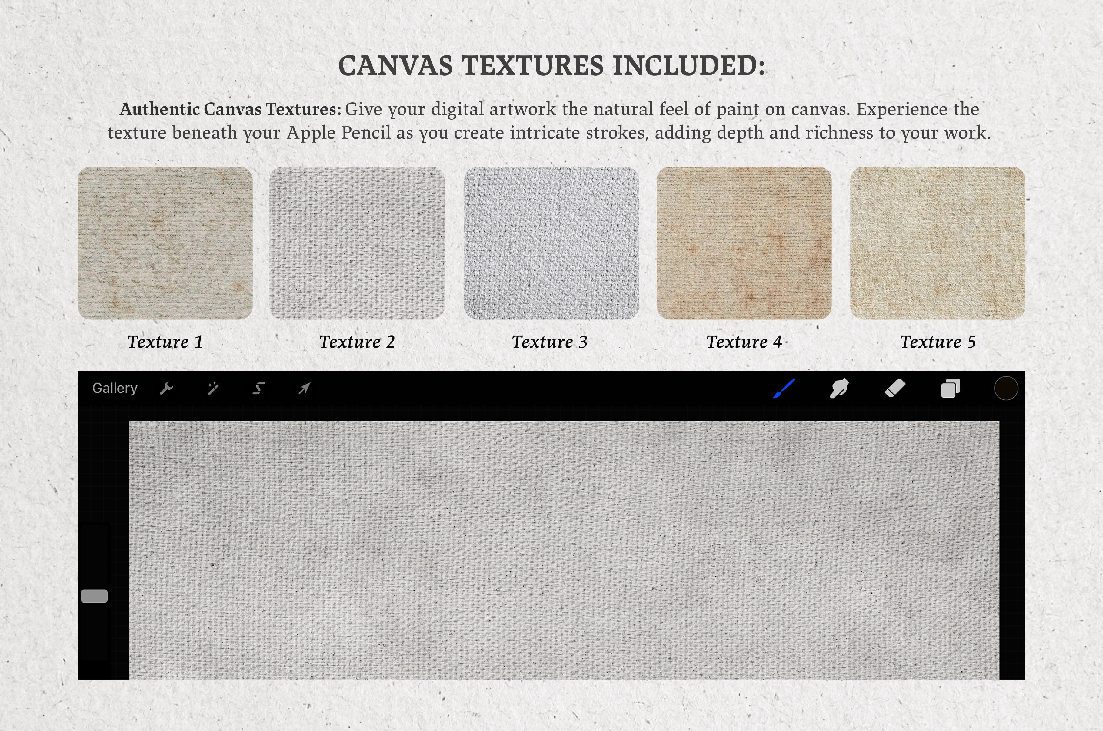 Frans Hals Procreate Kit