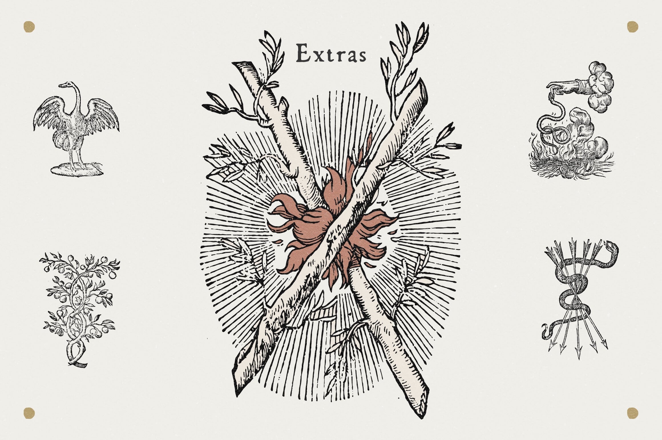 Fratelli - Serif font + Extras