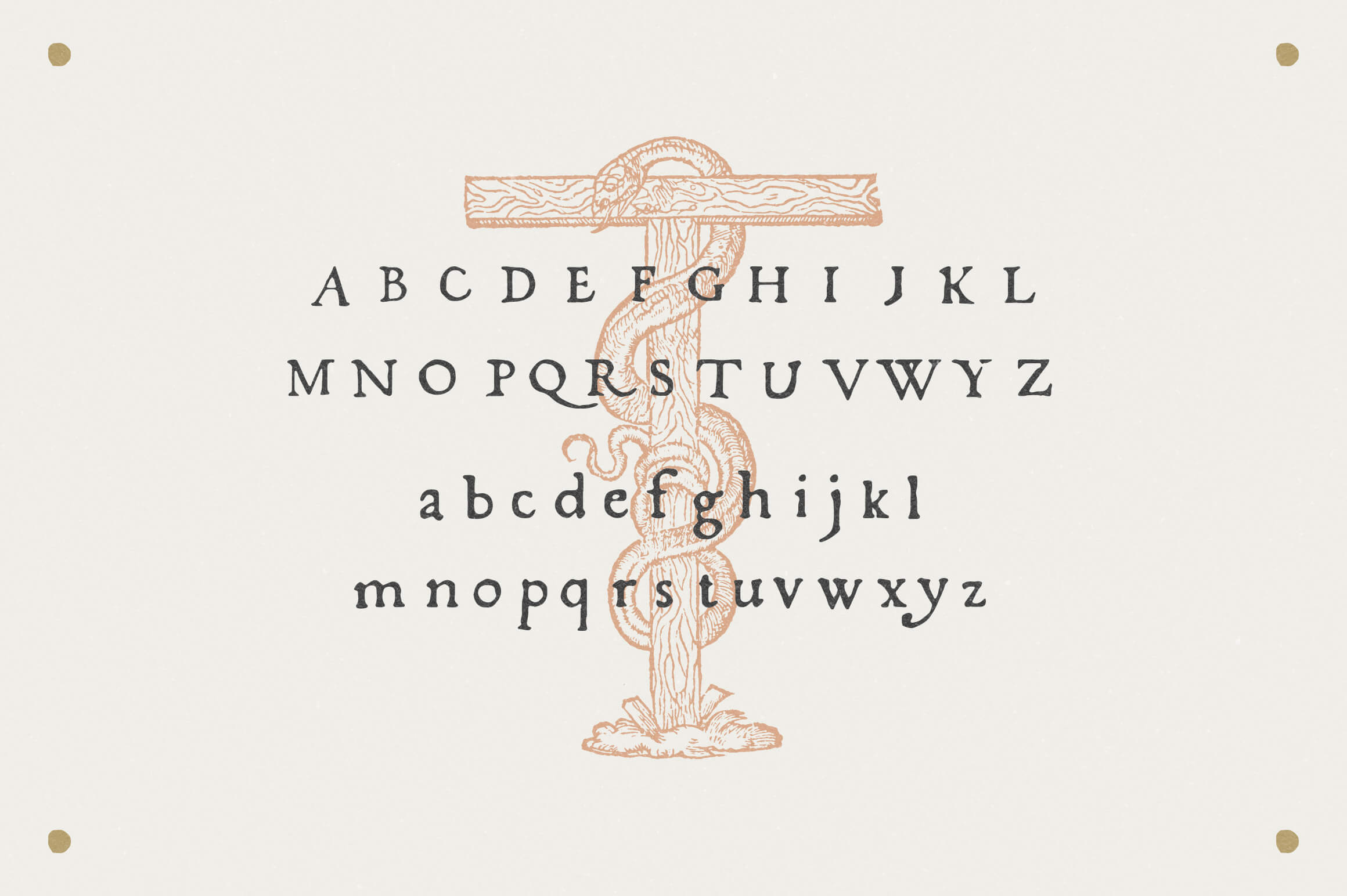 Fratelli - Serif font + Extras