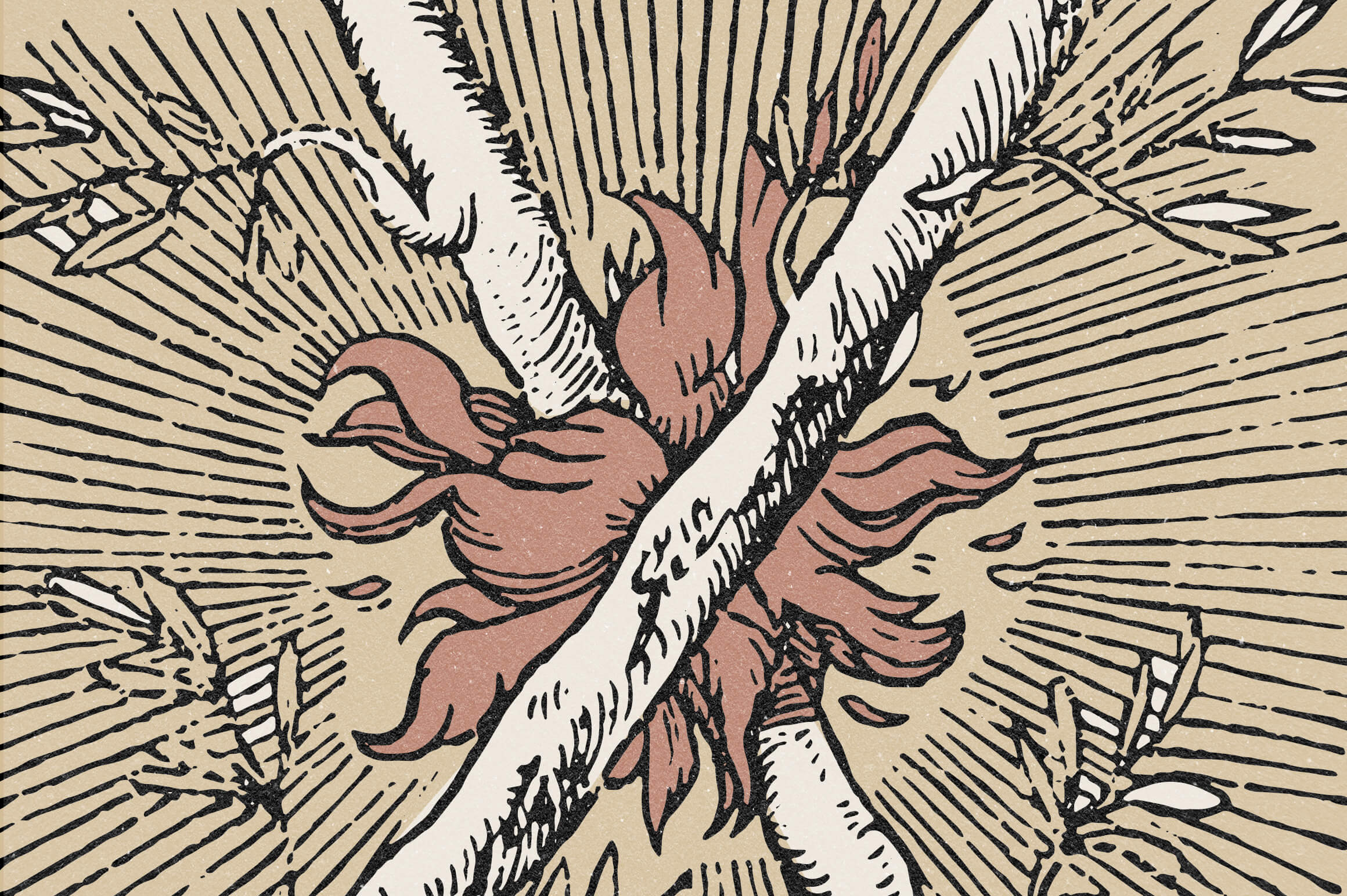 Fratelli - Serif font + Extras