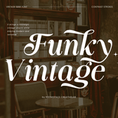 Funky Vintage – Modern Bold Serif Font