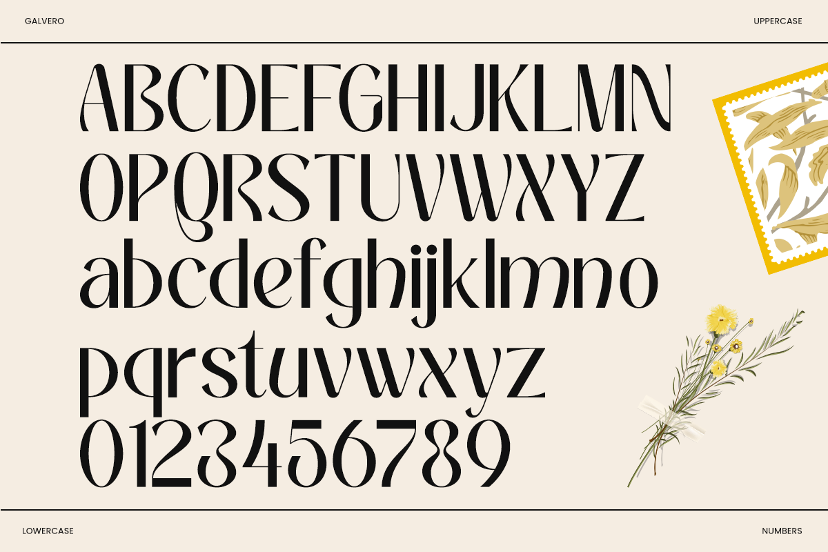 galvero-decorative-family-sans-serif-font-say-studio-8.png
