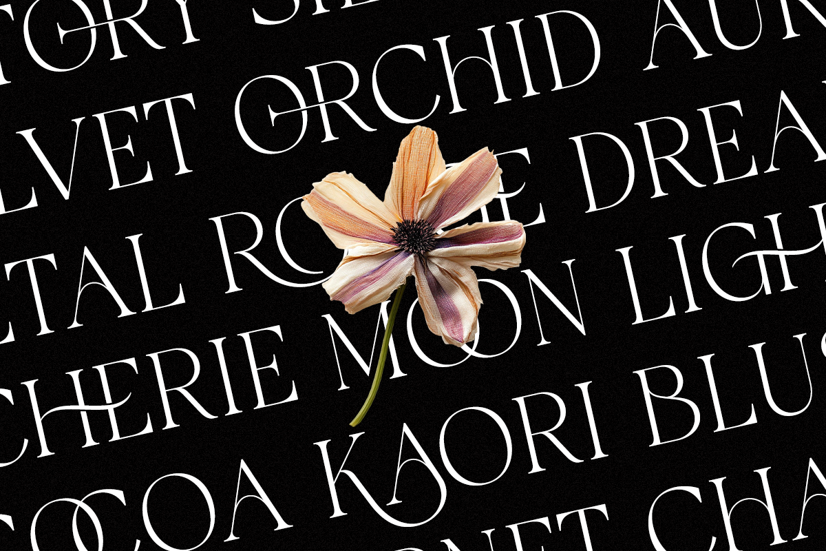galvore-luxury-ligature-serif-font-say-studio-3.png