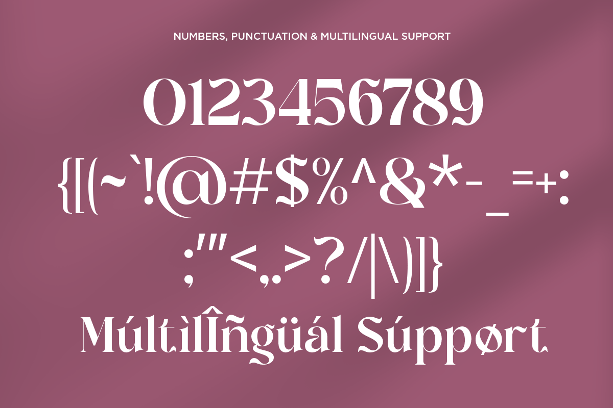 garside-luxury-ligature-serif-font-fontliner-10.png