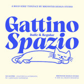 Gattino Spazio