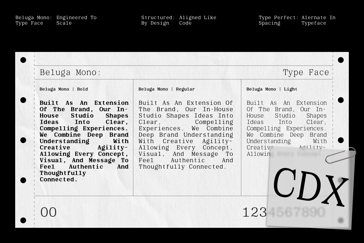 gc-beluga-mono-elegant-modern-mono-glyphonic-9.png