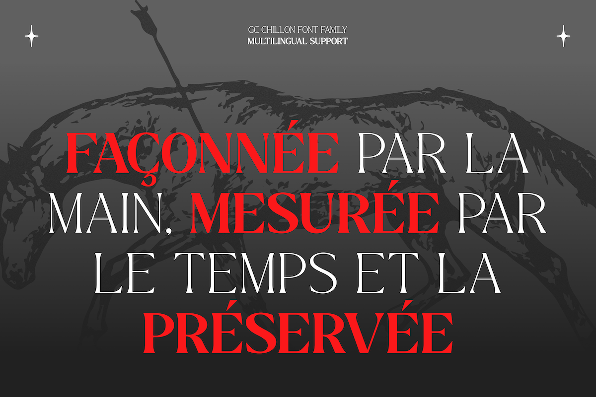 gc-chillon-stylish-serif-text-display-glyphonic-15.png