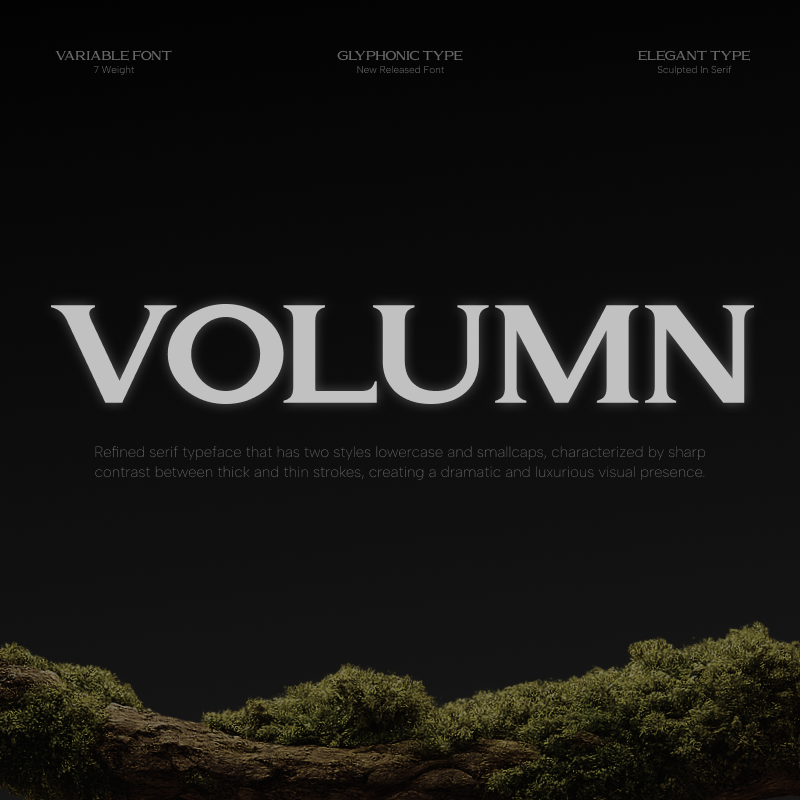 gc-volumn-elegant-serif-typeface-glyphonic-1.png