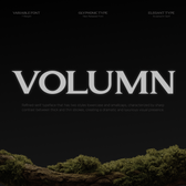 GC Volumn - Elegant Serif Typeface
