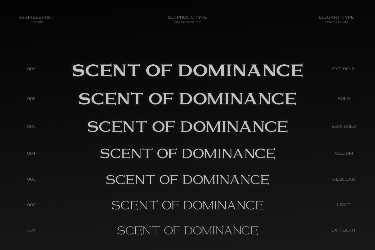 gc-volumn-elegant-serif-typeface-glyphonic-3.png