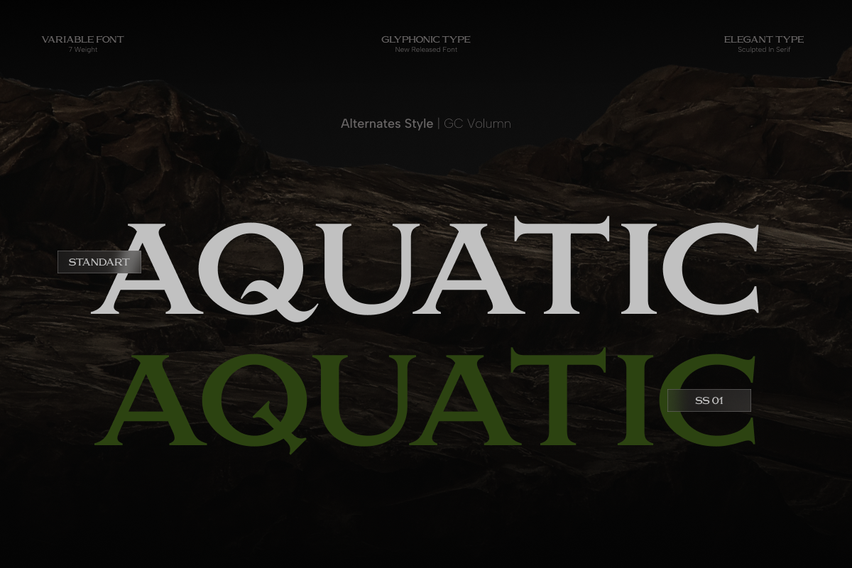 gc-volumn-elegant-serif-typeface-glyphonic-7.png