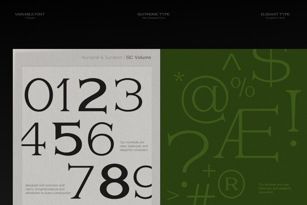 gc-volumn-elegant-serif-typeface-glyphonic-9.png