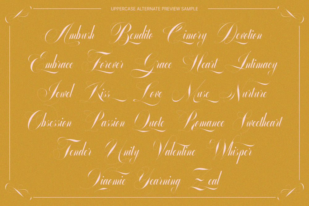 glowing-romance-calligraphy-luxury-font-enxyclo-studio-17.png