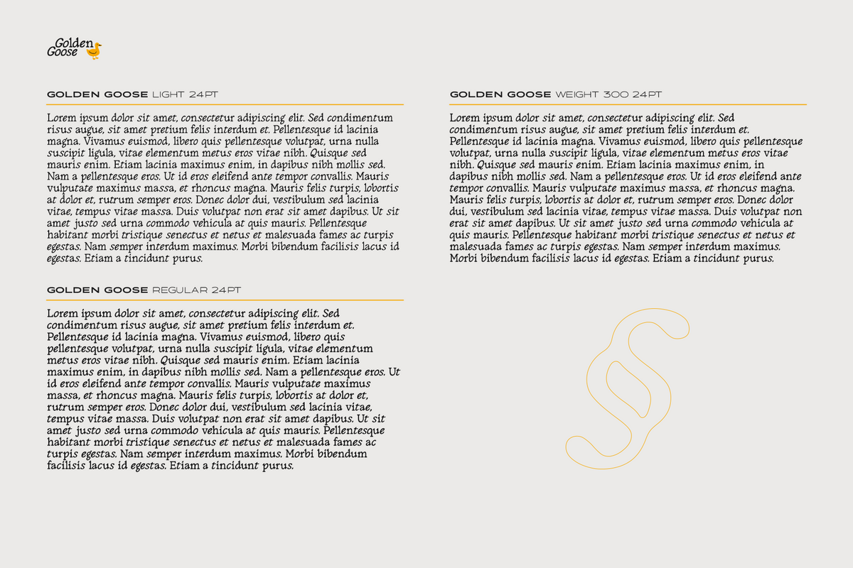 golden-goose-italic-infused-contemporary-serif-font-unknown-creator-7.png