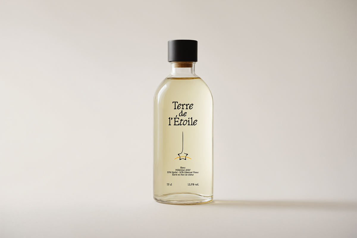 golden-goose-italic-infused-contemporary-serif-font-unknown-creator-8.png